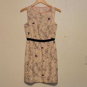 Ann Taylor Loft Dress